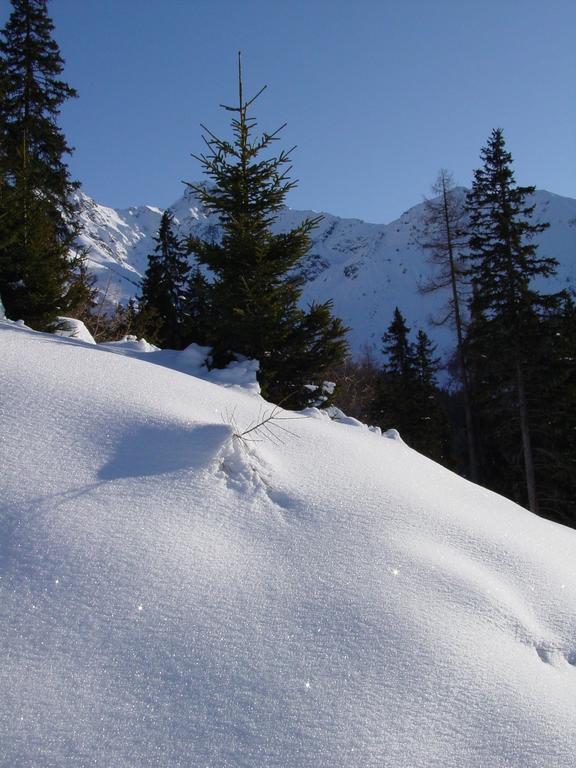 Gaestehaus Walch Fendels Esterno foto